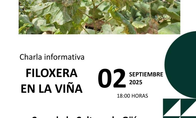 Charla técnica-divulgativa: La filoxera de la vid y estrategias de prevención en el Valle de Güímar
