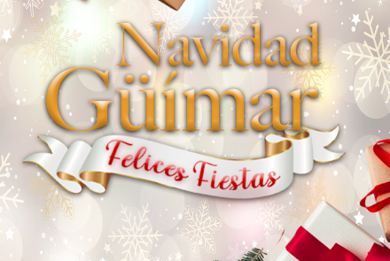 Programa Navidad 2025